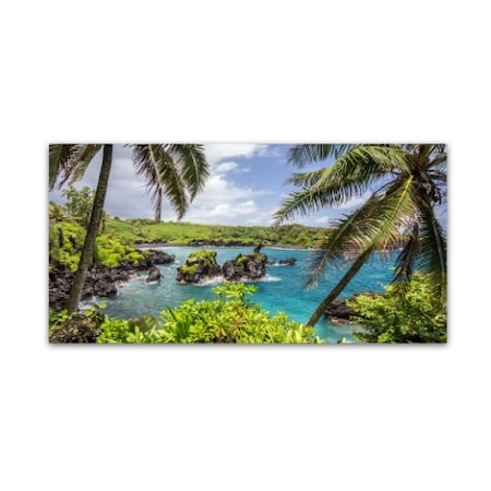 Pierre Leclerc 'Tropical Paradise Maui' Canvas Art,10x19
